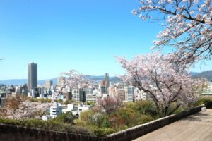 広島市比治山公園桜